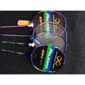 VỢT CẦU LÔNG PALEDAS CAO CẤP BH8878