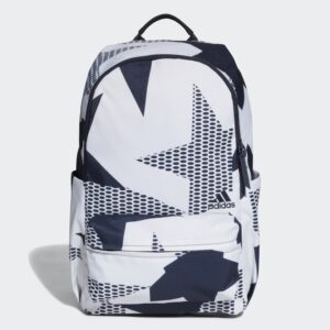 CLASSIC ID GRAPHIC BACKPACK DT4065